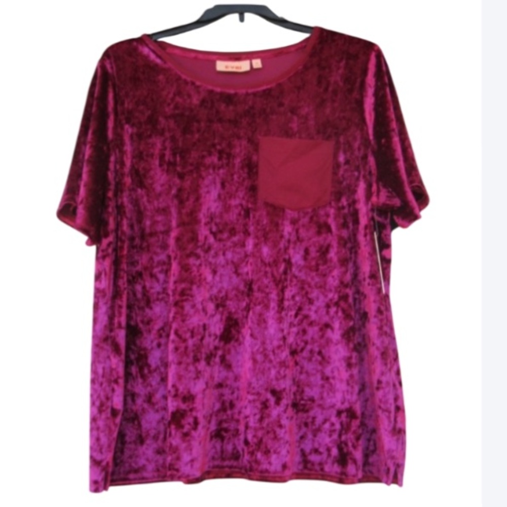 EVRI velvet like top with pocket short sleeve shirt casual office 3X